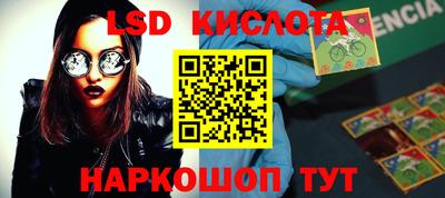винт Дмитров