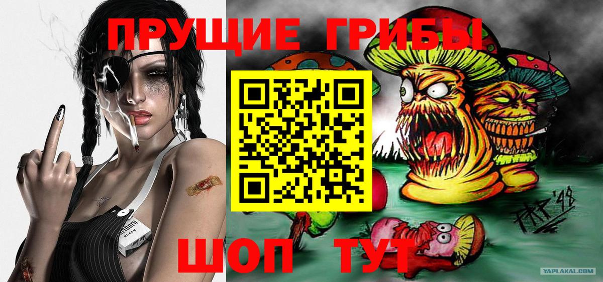 Псилоцибиновые грибы Psilocybine cubensis Артёмовский