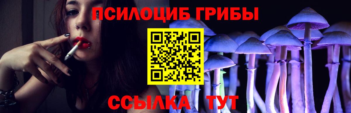Псилоцибиновые грибы Psilocybe  Галлюциногенные грибы Psilocybine cubensis  Артёмовский  Вход с VPN 